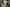 spring/summer 2019