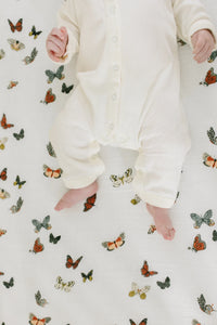 Thumbnail for Clementine Kids Butterfly Crib Sheet