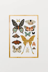 Thumbnail for Clementine Kids, Butterfly Collector Art Print