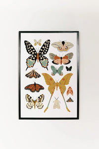 Thumbnail for Clementine Kids, Butterfly Collector Art Print