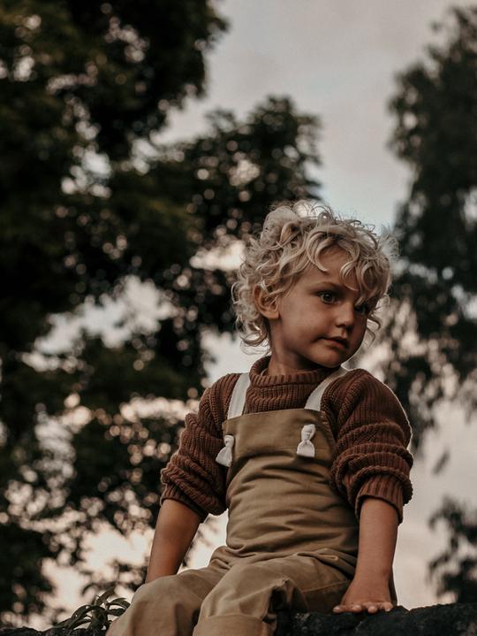 The Simple Folk Workman Overall, Camel